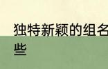 独特新颖的组名 独特新颖的组名有哪些