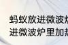 蚂蚁放进微波炉里加热会死吗 蚂蚁放进微波炉里加热会不会死