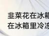 韭菜花在冰箱里冷冻能放多久 韭菜花在冰箱里冷冻可以放多长时间