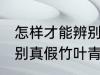 怎样才能辨别真假竹叶青 如何才能辨别真假竹叶青