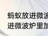 蚂蚁放进微波炉里加热会死吗 蚂蚁放进微波炉里加热会不会死