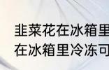 韭菜花在冰箱里冷冻能放多久 韭菜花在冰箱里冷冻可以放多长时间