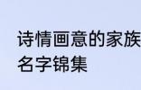 诗情画意的家族名字 诗情画意的家族名字锦集