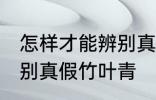 怎样才能辨别真假竹叶青 如何才能辨别真假竹叶青