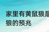 家里有黄鼠狼是什么兆头 家里有黄鼠狼的预兆