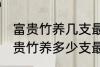 富贵竹养几支最旺运办公室 办公室富贵竹养多少支最旺运