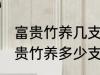 富贵竹养几支最旺运办公室 办公室富贵竹养多少支最旺运