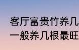 客厅富贵竹养几支最旺运 水养富贵竹一般养几根最旺财