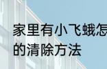 家里有小飞蛾怎么消灭 家里有小飞蛾的清除方法