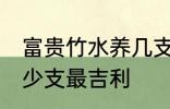 富贵竹水养几支最旺运 富贵竹水养多少支最吉利