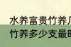 水养富贵竹养几支最旺运财 水养富贵竹养多少支最旺运财