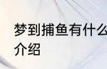 梦到捕鱼有什么兆头 梦见捕鱼的寓意介绍