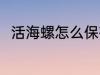 活海螺怎么保存 活海螺的保存方法