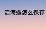 活海螺怎么保存 活海螺的保存方法