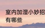 室内加湿小妙招有哪些 室内加湿方法有哪些