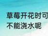 草莓开花时可以浇水吗 草莓开花时能不能浇水呢