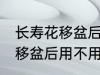 长寿花移盆后需要立刻浇水吗 长寿花移盆后用不用马上浇水