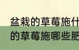 盆栽的草莓施什么肥好不要化肥 盆栽的草莓施哪些肥好不要化肥