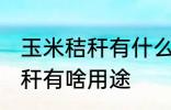 玉米秸秆有什么用途寻求合作 玉米秸秆有啥用途