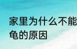 家里为什么不能养乌龟 家里不能养乌龟的原因