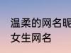 温柔的网名昵称女两个字 简单好听的女生网名