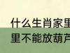 什么生肖家里不能放葫芦 什么生肖家里不能放葫芦的呢